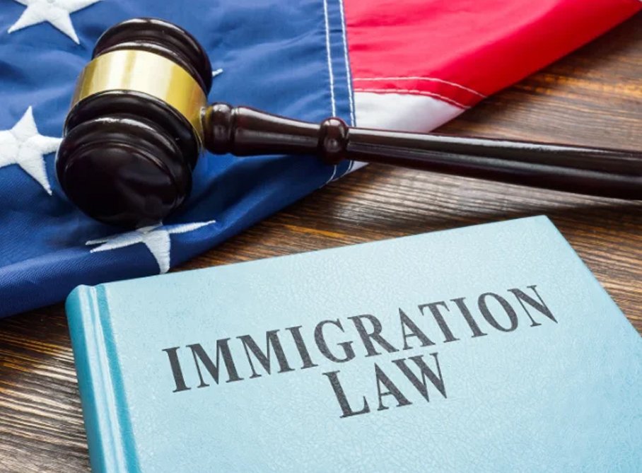 Immigration Law